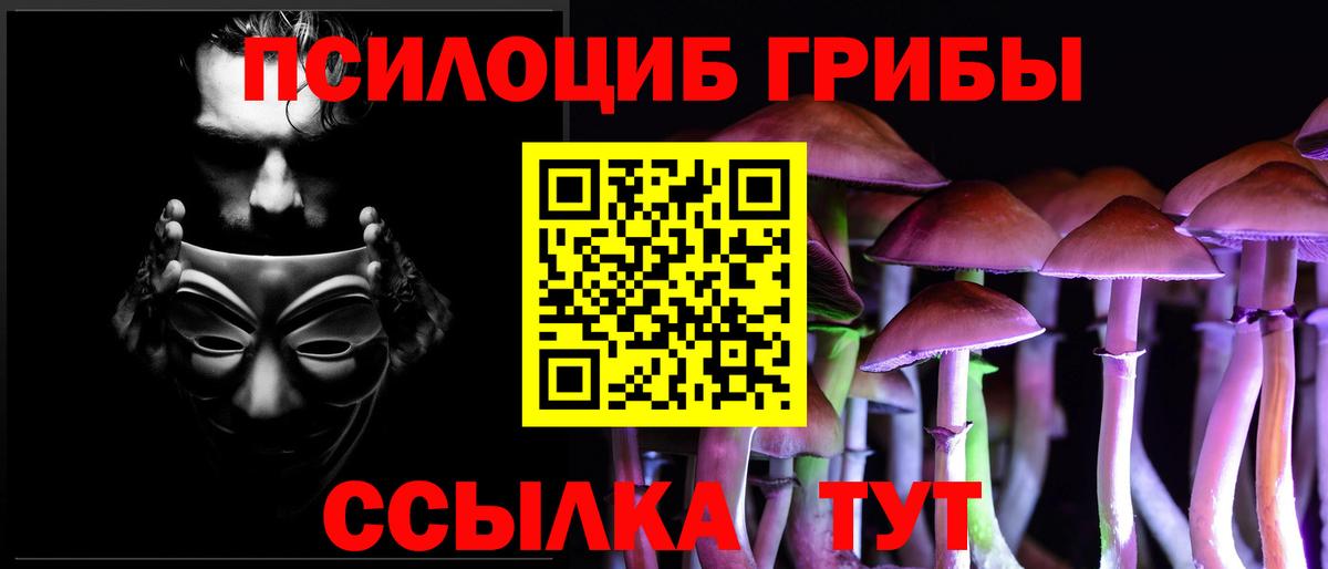 Галлюциногенные грибы MAGIC MUSHROOMS  Вход с VPN  Мурино 